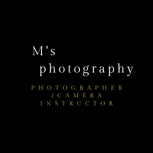 M's photography